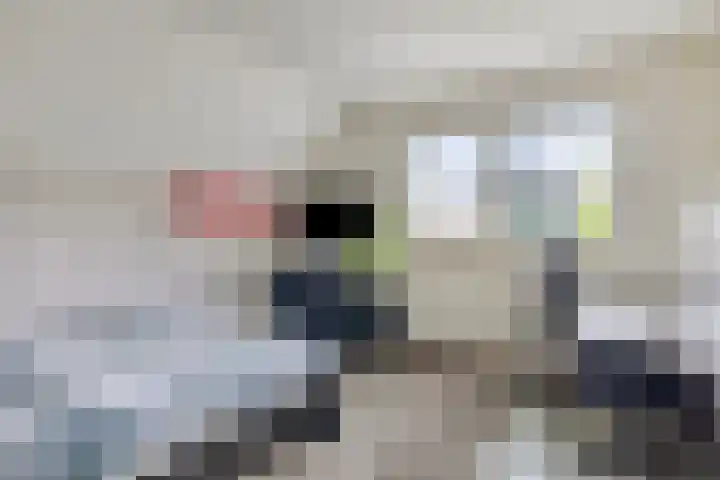 Saterslo 5 Losser thumbnail 31