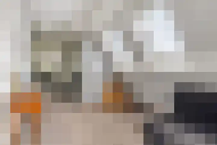 Saterslo 5 Losser thumbnail 32