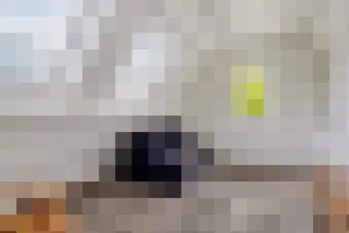 Saterslo 5 Losser thumbnail 33