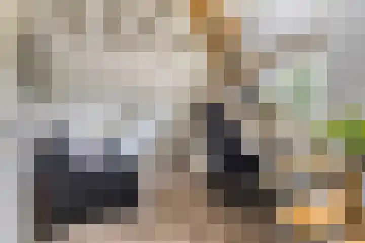 Saterslo 5 Losser thumbnail 34