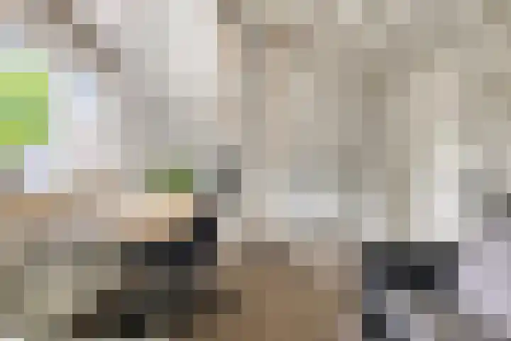 Saterslo 5 Losser thumbnail 35