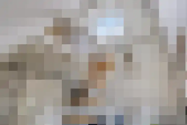 Saterslo 5 Losser thumbnail 36