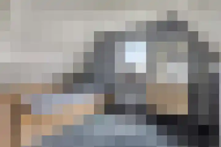Saterslo 5 Losser thumbnail 38