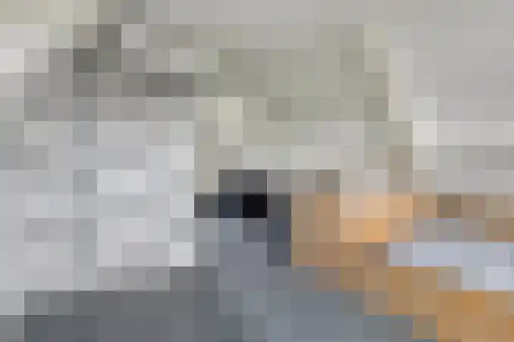 Saterslo 5 Losser thumbnail 39