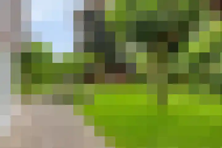Saterslo 5 Losser thumbnail 42