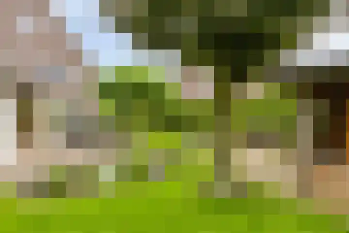 Saterslo 5 Losser thumbnail 44