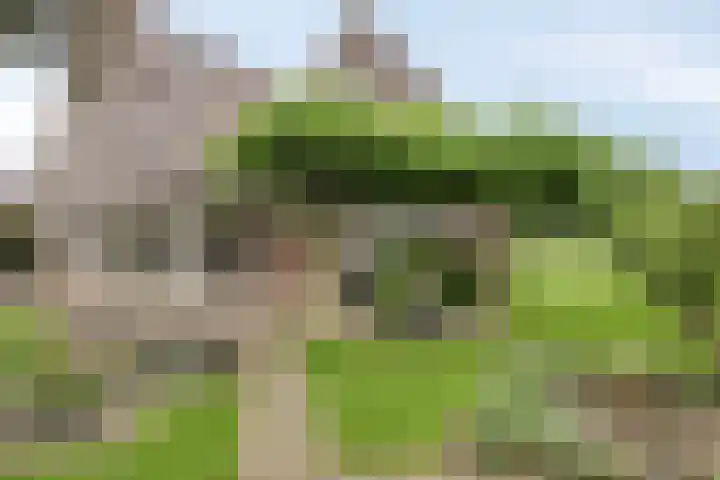 Saterslo 5 Losser thumbnail 45