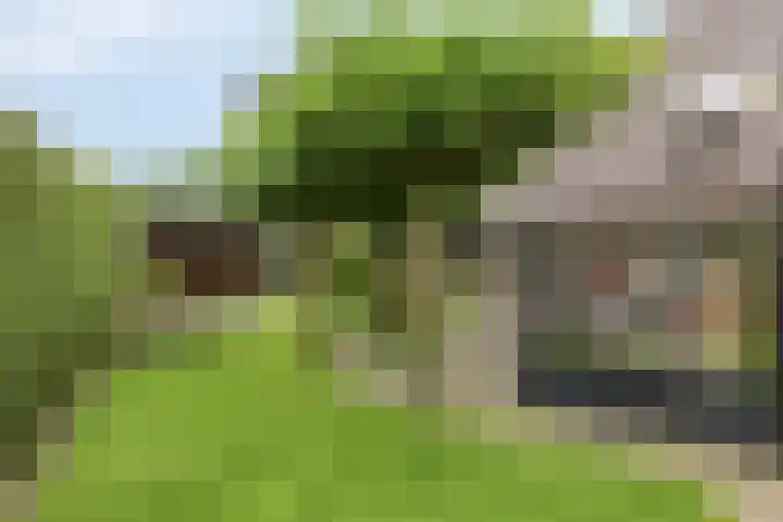 Saterslo 5 Losser thumbnail 46