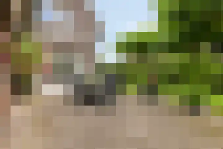 Saterslo 5 Losser thumbnail 47