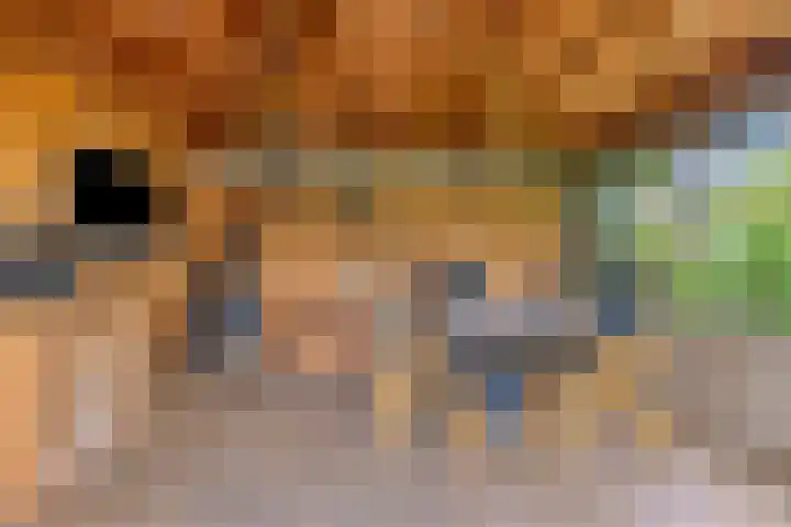 Saterslo 5 Losser thumbnail 48
