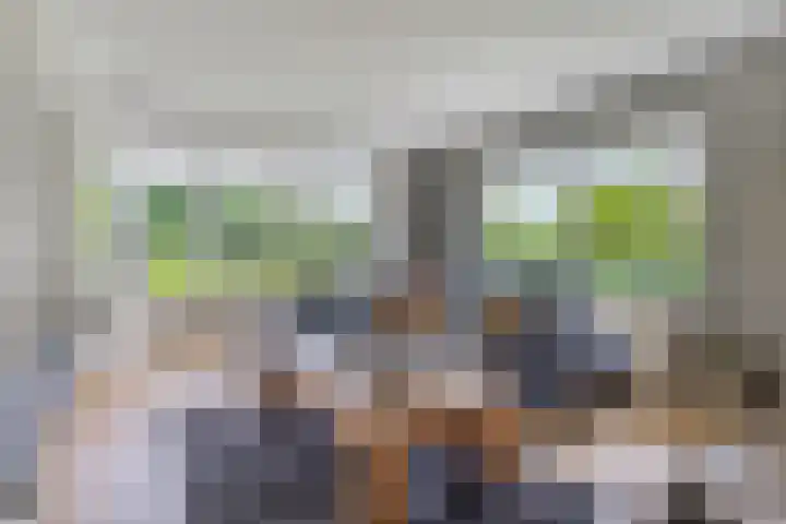 Saterslo 5 Losser thumbnail 5