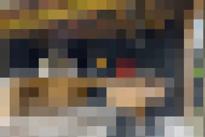 Saterslo 5 Losser thumbnail 50