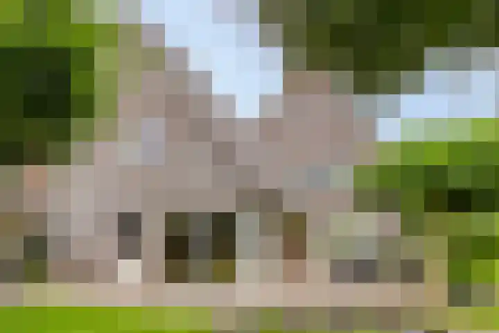 Saterslo 5 Losser thumbnail 51