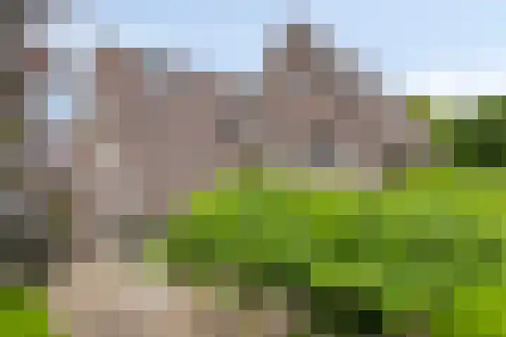 Saterslo 5 Losser thumbnail 52