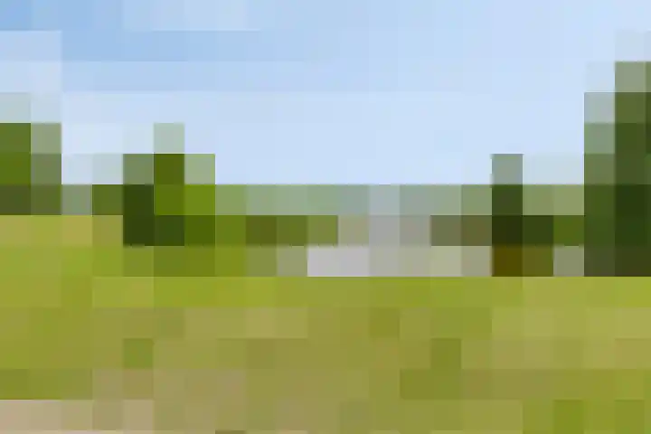 Saterslo 5 Losser thumbnail 53