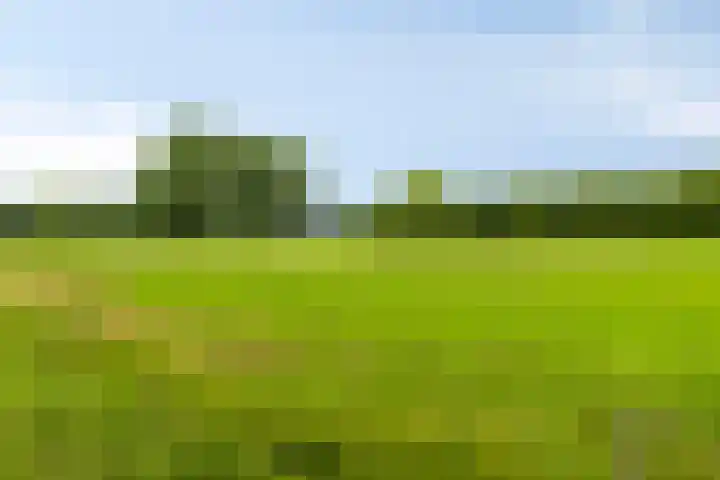 Saterslo 5 Losser thumbnail 54