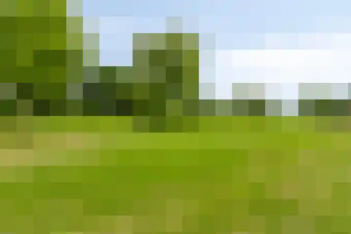 Saterslo 5 Losser thumbnail 55