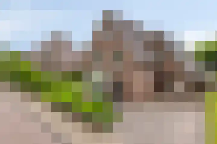 Saterslo 5 Losser thumbnail 56