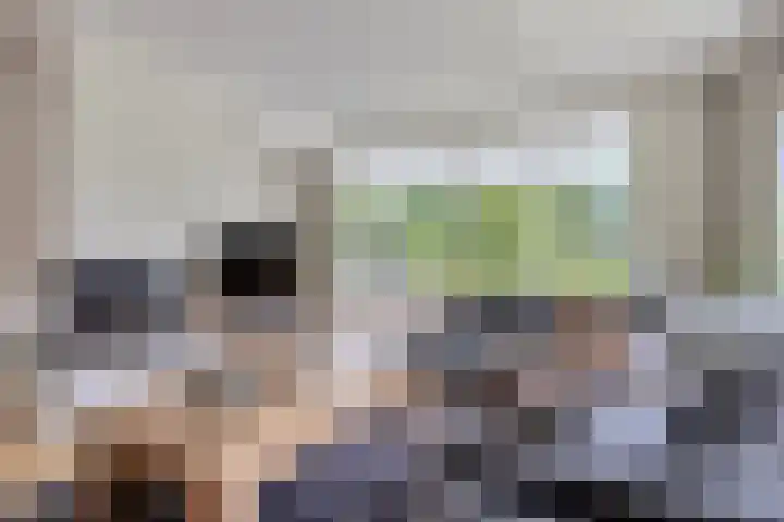 Saterslo 5 Losser thumbnail 6