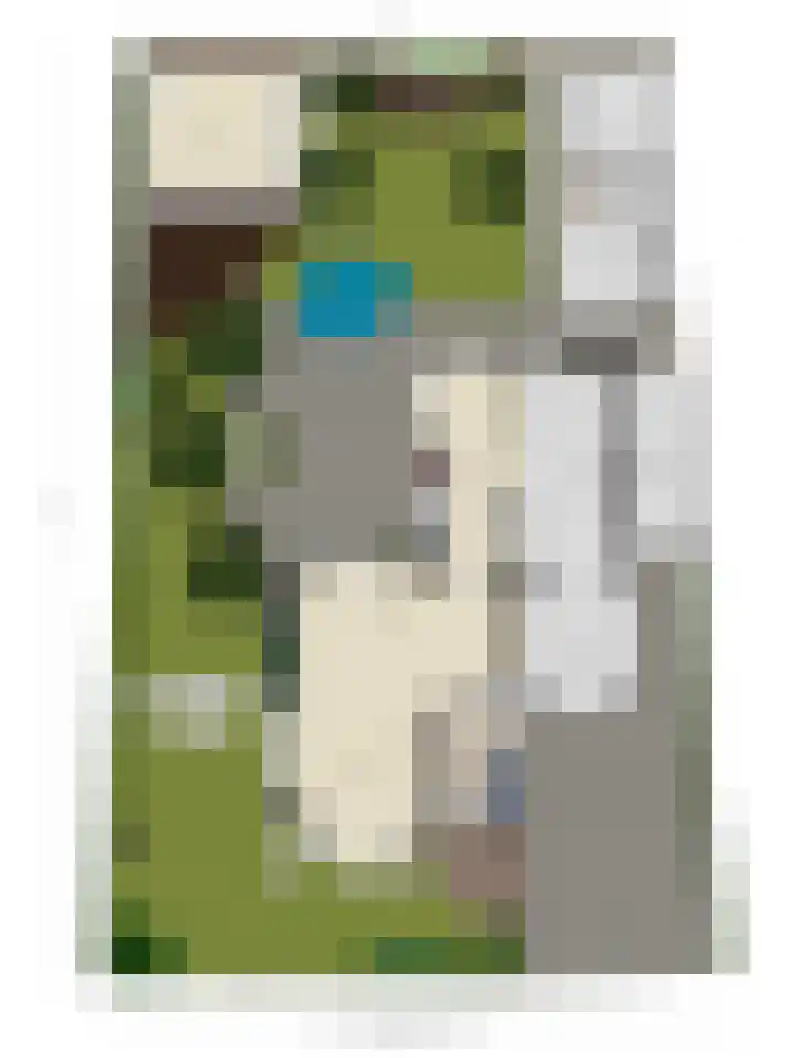 Saterslo 5 Losser thumbnail 66