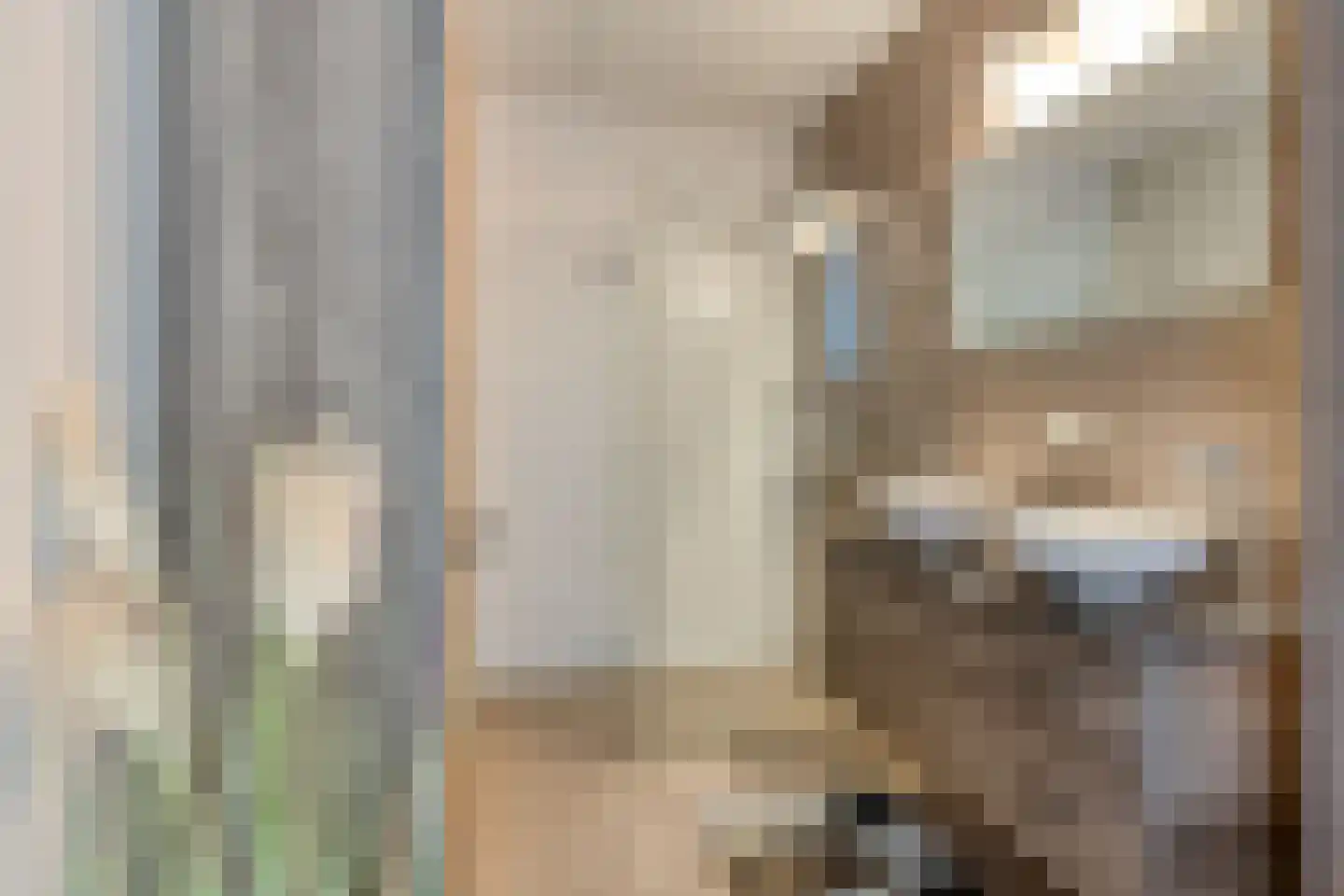 Satijnstraat 7 Helmond thumbnail 20