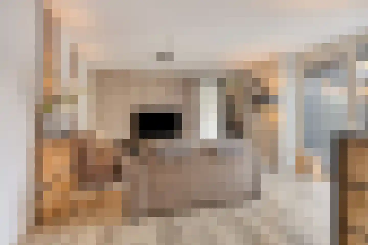 Satijnstraat 7 Helmond thumbnail 8