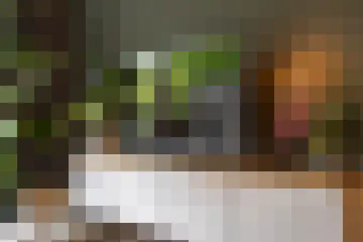 Satijnvlinder 11 Enschede thumbnail 11