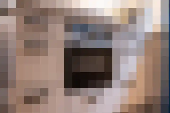 Satijnvlinder 11 Enschede thumbnail 17
