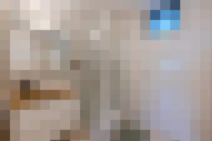 Satijnvlinder 11 Enschede thumbnail 20