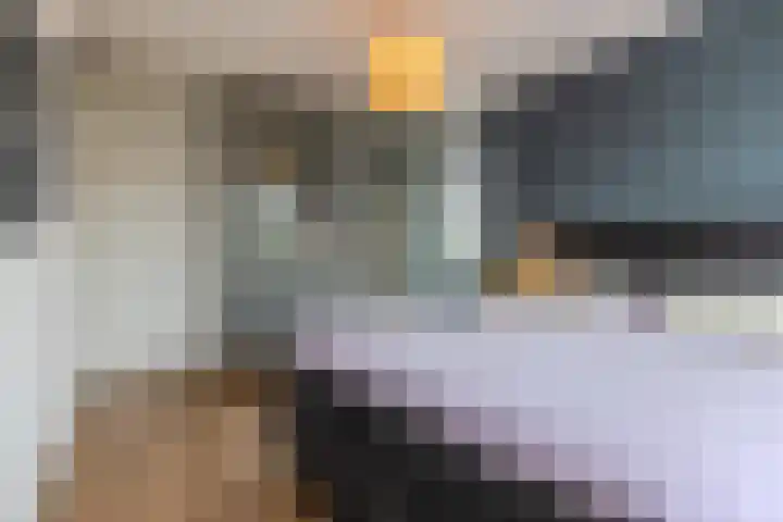 Satijnvlinder 11 Enschede thumbnail 22