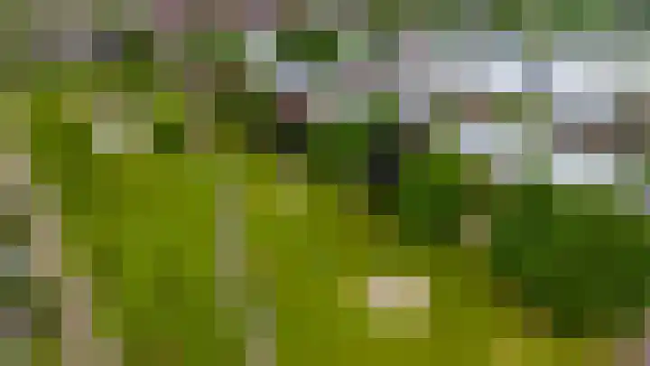 Satijnvlinder 11 Enschede thumbnail 36