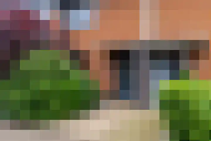 Satijnvlinder 11 Enschede thumbnail 5