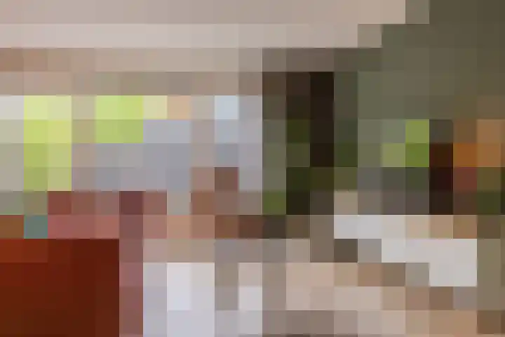 Satijnvlinder 11 Enschede thumbnail 8