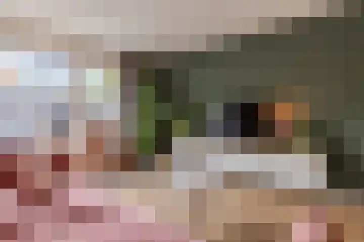 Satijnvlinder 11 Enschede thumbnail 9