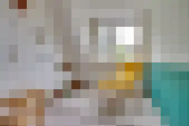 Satijnvlinder 12 Bilthoven thumbnail 14