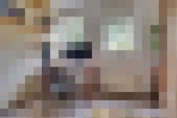 Satijnvlinder 12 Bilthoven thumbnail 19