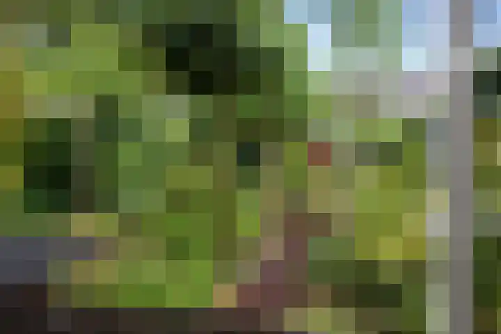 Satijnvlinder 12 Bilthoven thumbnail 23