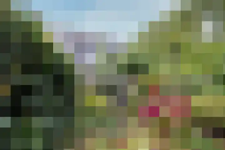 Satijnvlinder 12 Bilthoven thumbnail 24