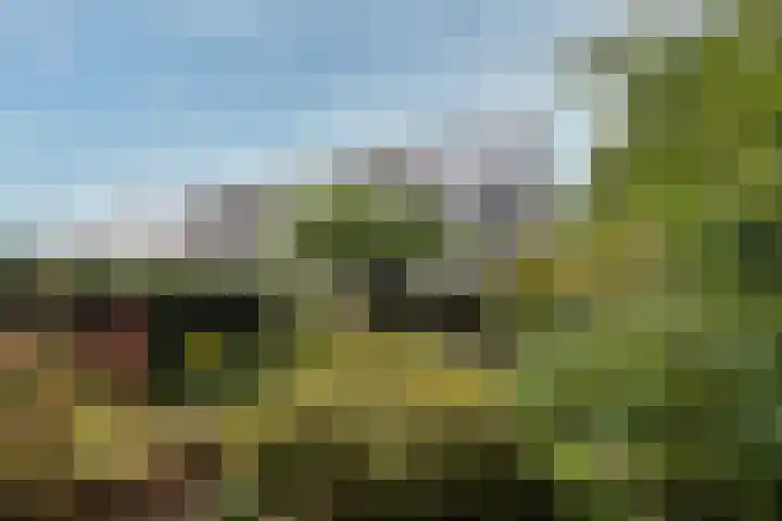 Satijnvlinder 12 Bilthoven thumbnail 25