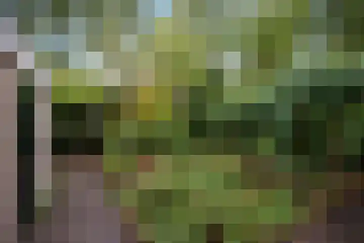 Satijnvlinder 12 Bilthoven thumbnail 26