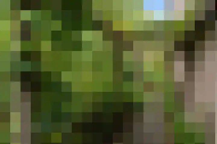 Satijnvlinder 12 Bilthoven thumbnail 27