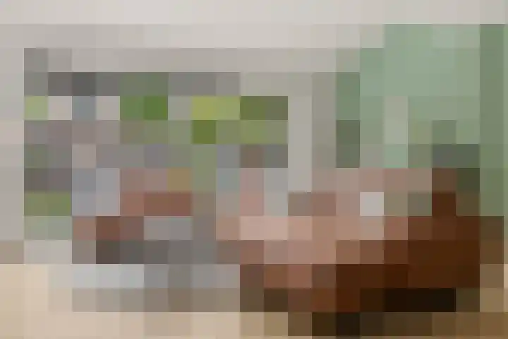 Satijnvlinder 3 Amersfoort thumbnail 13