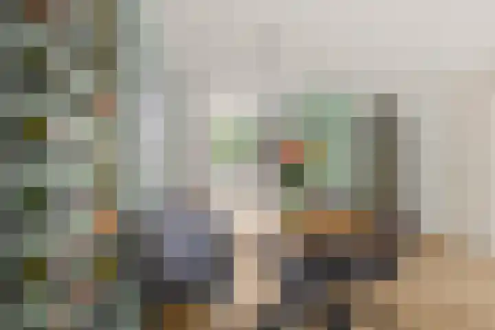 Satijnvlinder 3 Amersfoort thumbnail 18