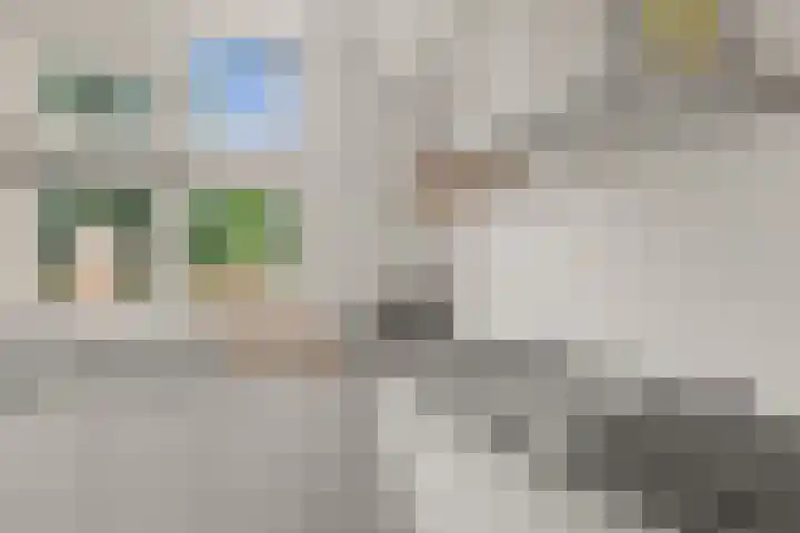 Satijnvlinder 3 Amersfoort thumbnail 22