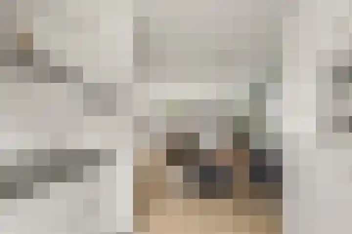Satijnvlinder 3 Amersfoort thumbnail 24