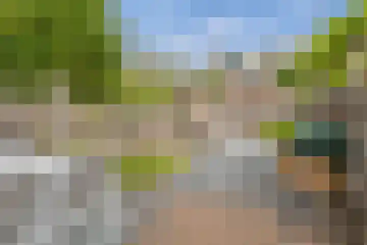 Satijnvlinder 3 Amersfoort thumbnail 25