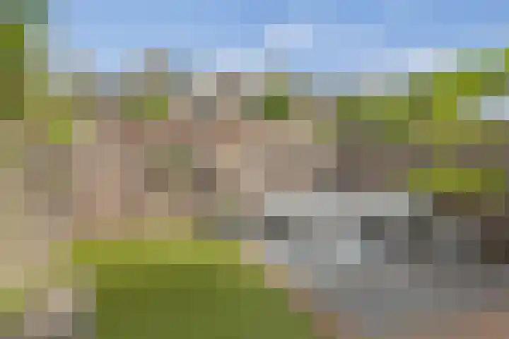 Satijnvlinder 3 Amersfoort thumbnail 26