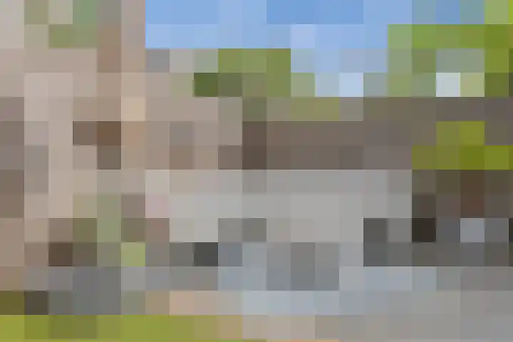Satijnvlinder 3 Amersfoort thumbnail 27