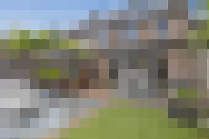 Satijnvlinder 3 Amersfoort thumbnail 28