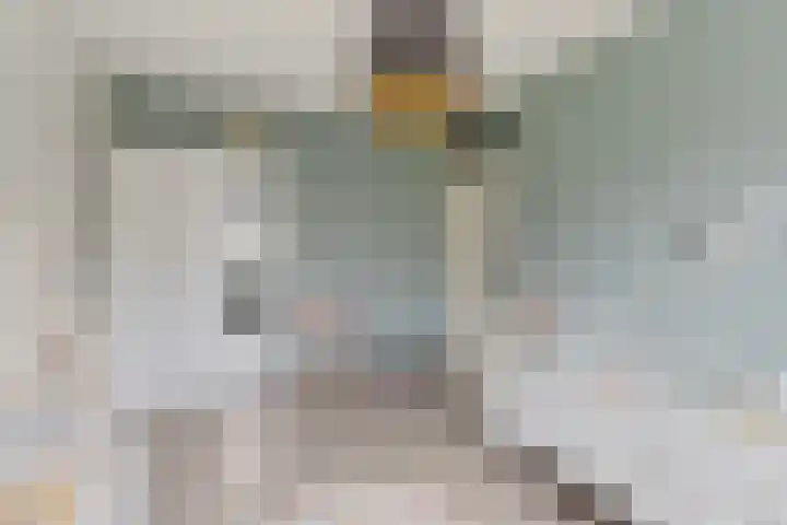 Satijnvlinder 3 Amersfoort thumbnail 38